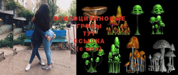 a pvp Алзамай