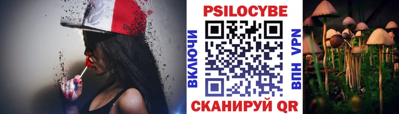 наркота  Безенчук  Галлюциногенные грибы Psilocybine cubensis 